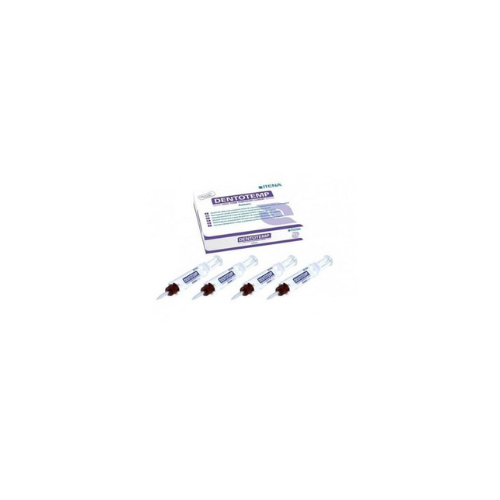 İtena DentoTemp İmplant Yapıştırıcı Value Automix İntro Kit