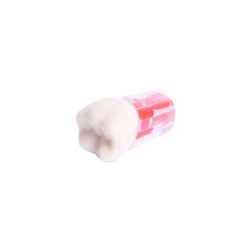 Fuji Endo Kronlu Diş Molar