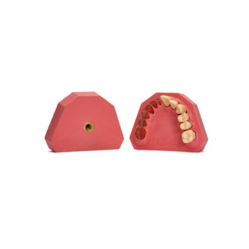 Fuji Kronlu Endodontik Çene Wax